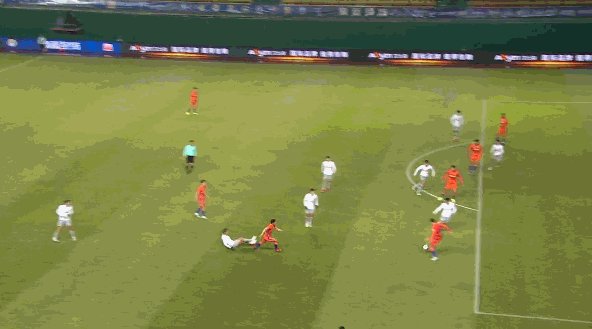费拉你.gif